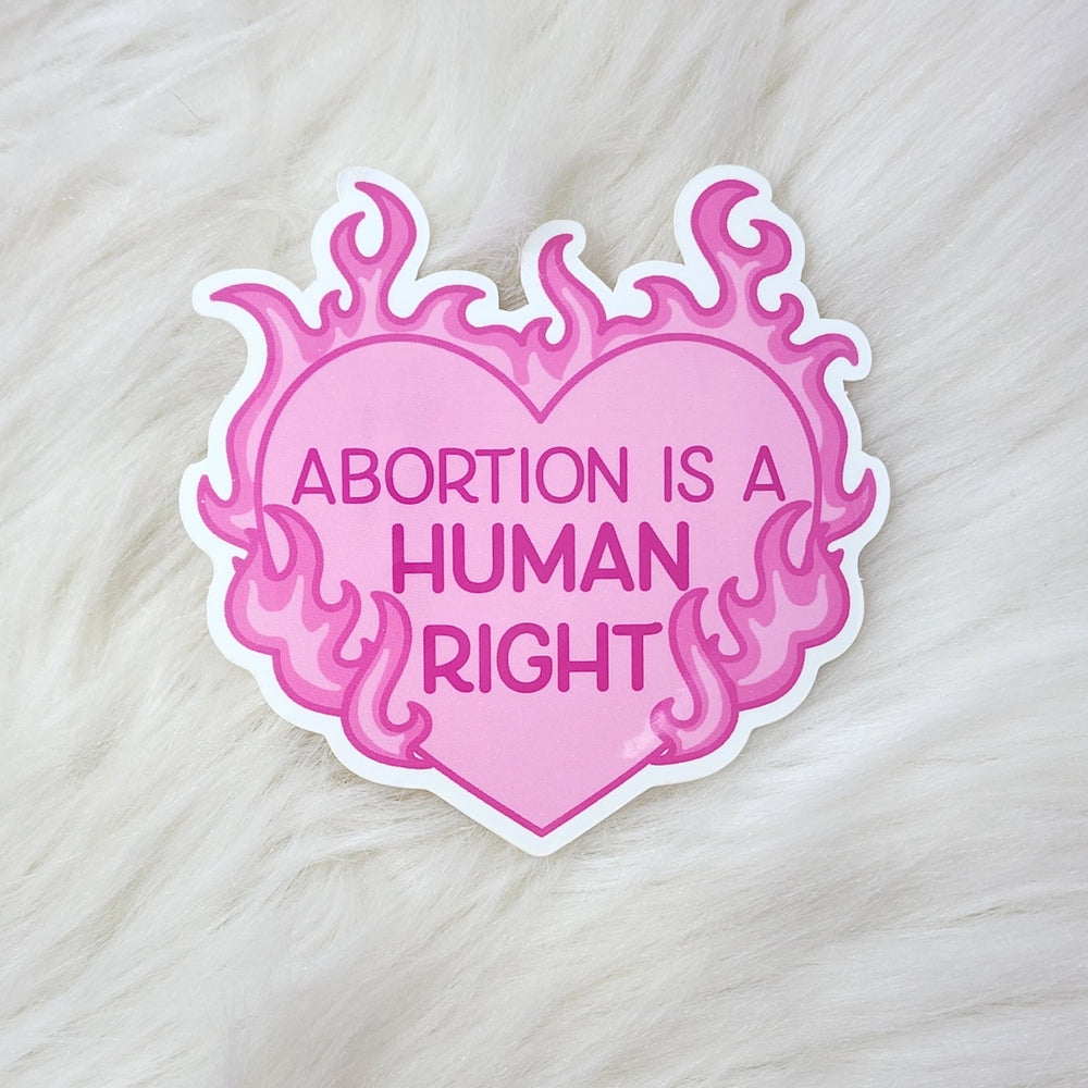 
            
                Load image into Gallery viewer, Abortion is a Human Right Sticker
            
        